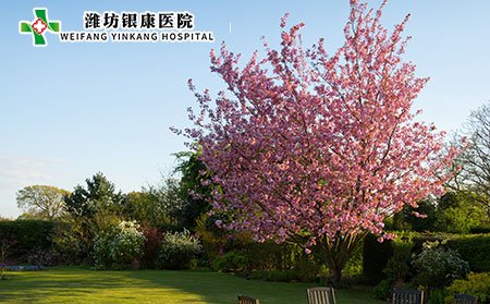 白癜风日常保健应该注意什么?白癜风病因是什么?